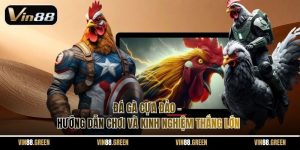 Đá Gà Cựa Đảo