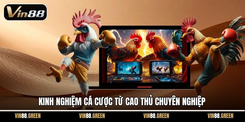 Kinh nghiệm cá cược từ cao thủ chuyên nghiệp