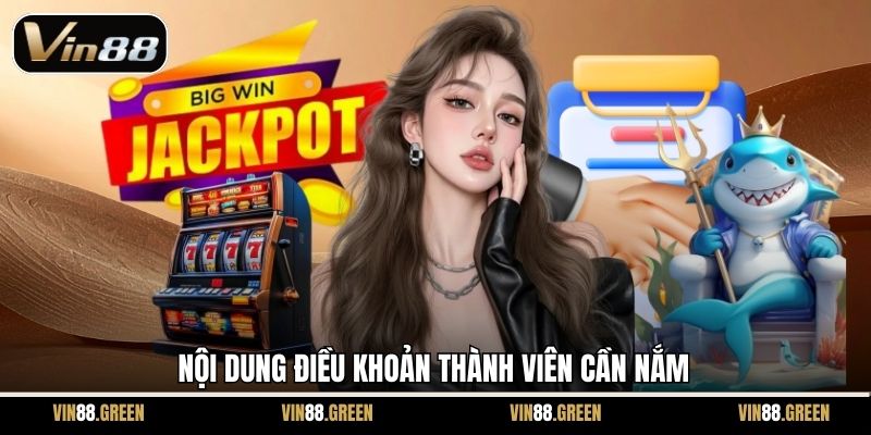 Nội dung điều khoản thành viên cần nắm