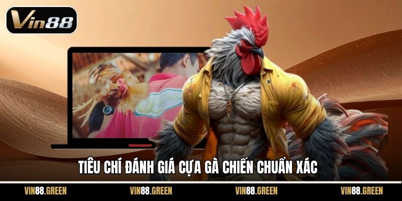 Tiêu chí đánh giá cựa gà chiến chuẩn xác
