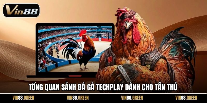 Tổng quan sảnh đá gà Techplay dành cho tân thủ