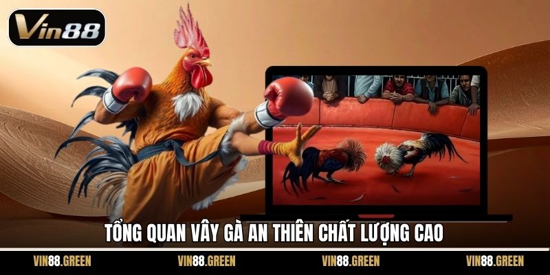 Tổng quan vây gà An Thiên chất lượng cao